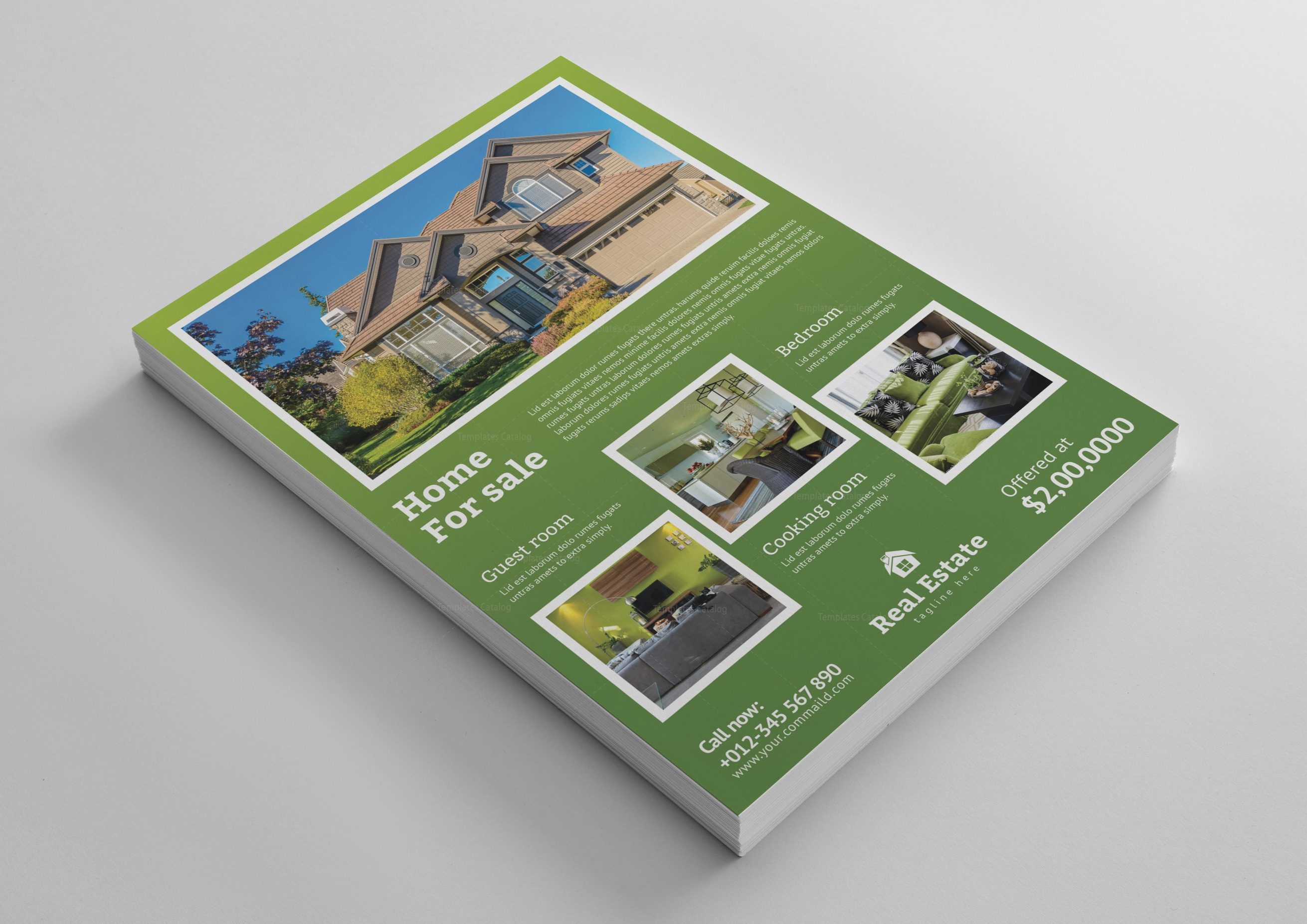 Classy Real Estate Flyer Design Template - Graphic Templates