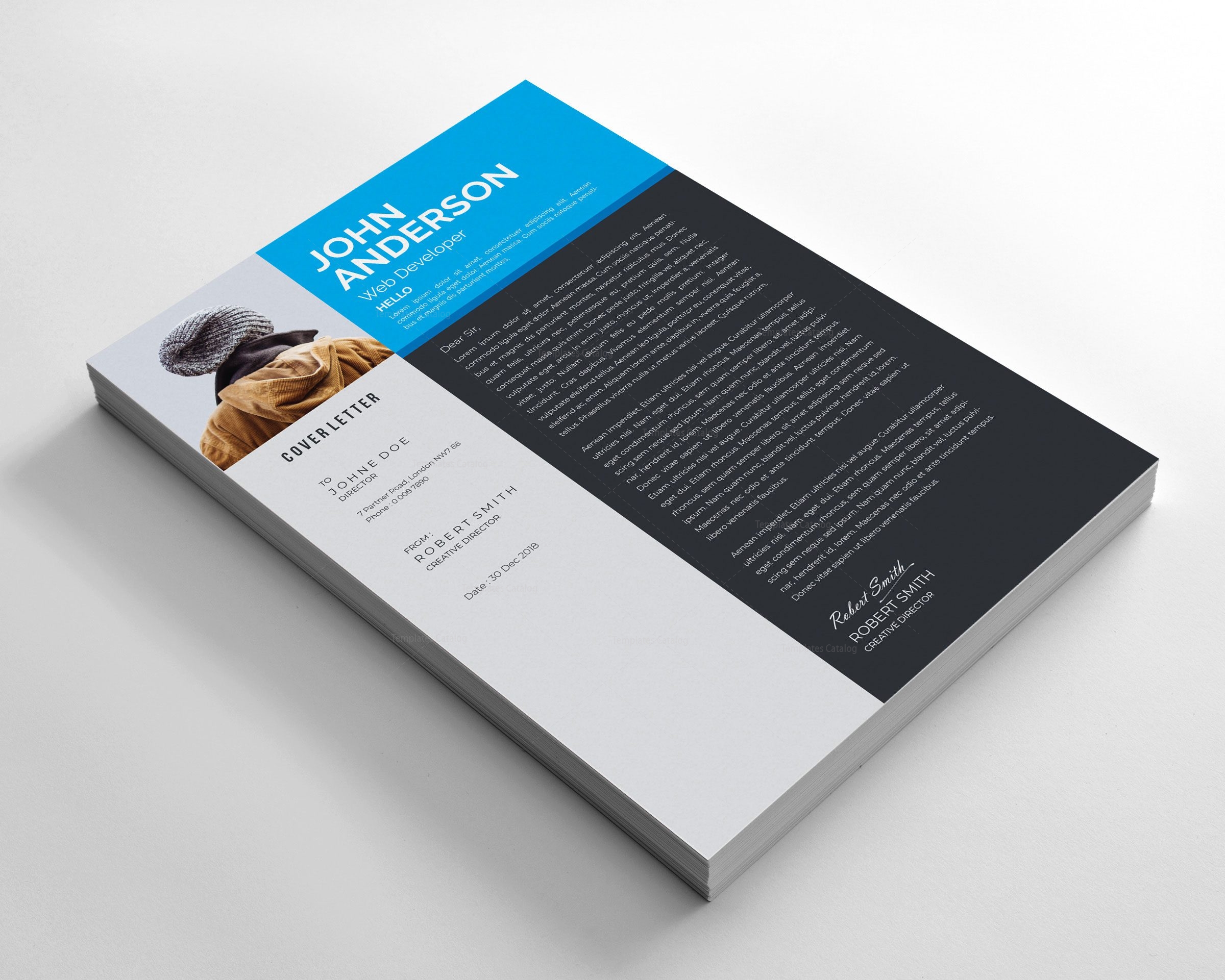 Sleek Resume Design - Graphic Templates