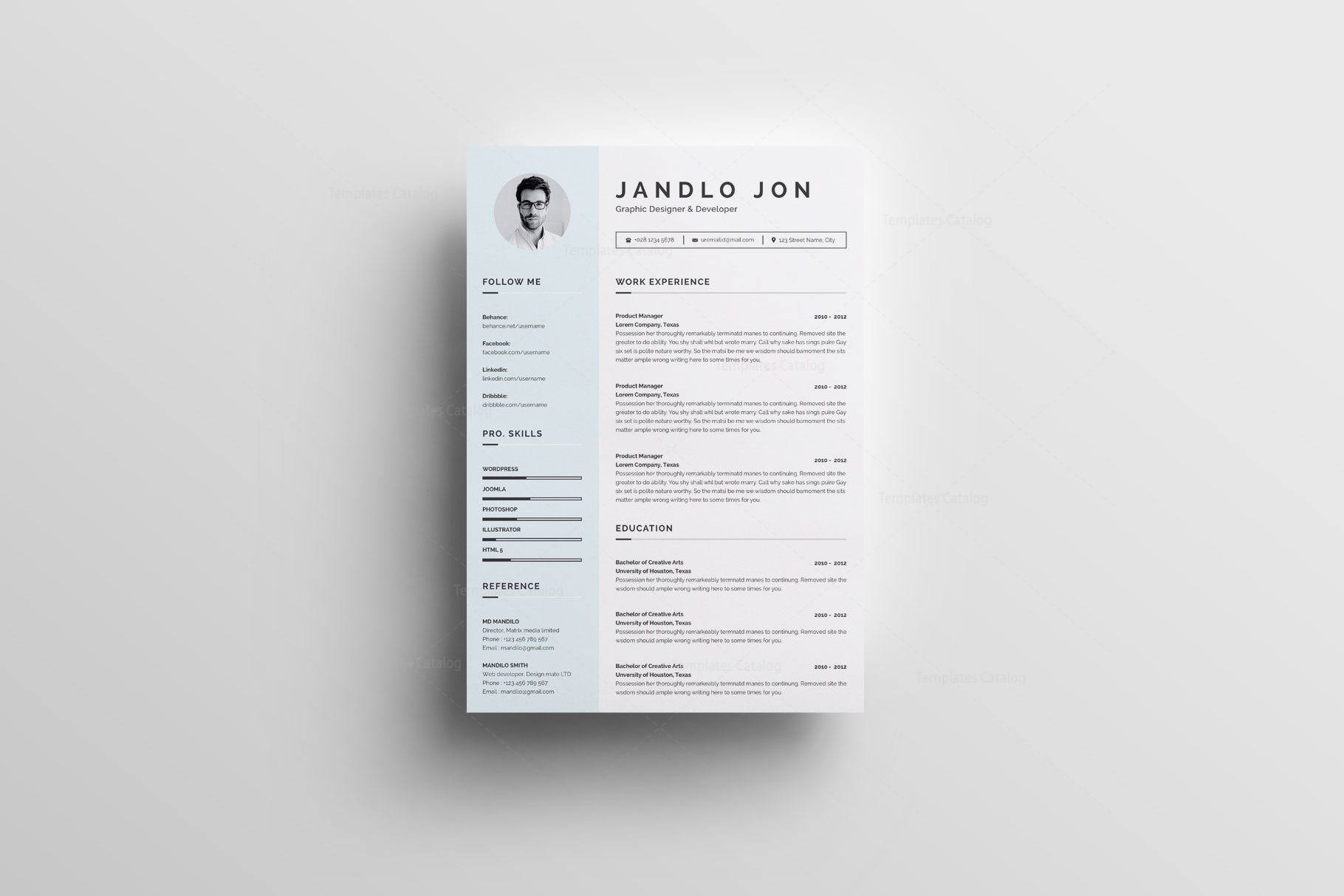 Stylish Curriculum Vitae Template - Graphic Templates